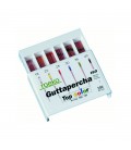 GUTTAPERCHA TOP COLOR Nº20