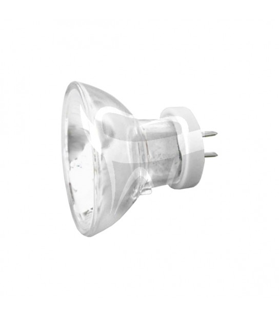 Ampoule E14 12V 10W de Trousselier, Lampes : Aubert