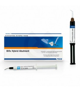 BIFIX HYBRID ABUTMENT 63273