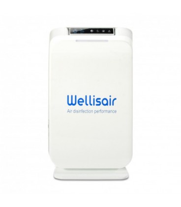 Purificateur d'air Wellisair 89025